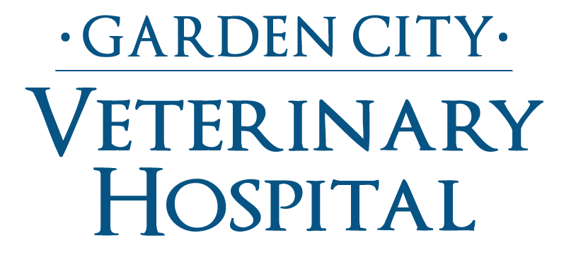 Veterinarian In Garden City Mi Garden City Veterinary Hospital
