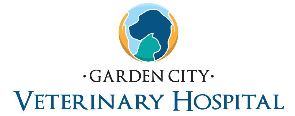 Veterinarian In Garden City Mi Garden City Veterinary Hospital